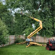 Best Weed Control  in Kensington Park, FL