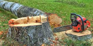 Best Tree Risk Assessment  in Kensington Park, FL