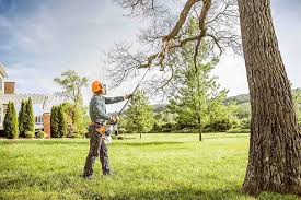 Best Lawn Irrigation Installation and Maintenance  in Kensington Park, FL