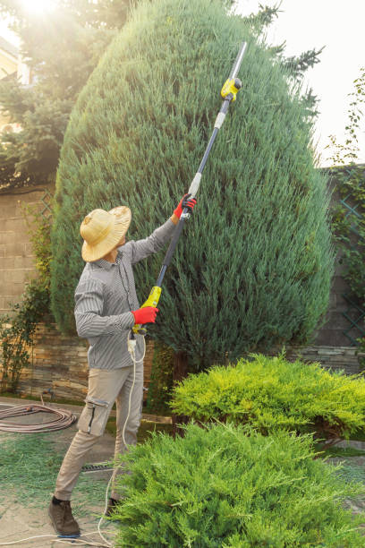 Best Lawn Drainage Solutions  in Kensington Park, FL